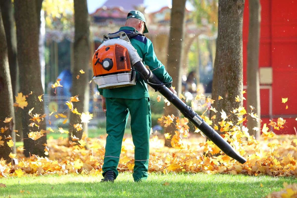 worker in the Park cleans the grass from fallen leaves with the help of a wind turbine
